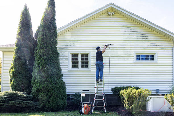 Animal Enclosure Cleaning in Centreville, IL